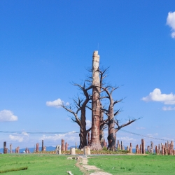 森山鐵皮石斛地理公園