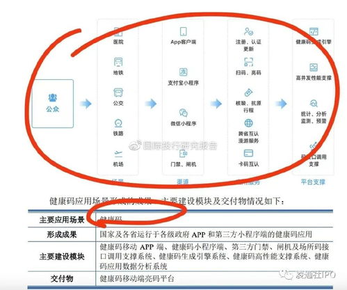 大漢軟件ipo尷尬審核 標桿產品健康碼已下架螞蟻已解綁